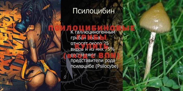 ешки Нефтегорск