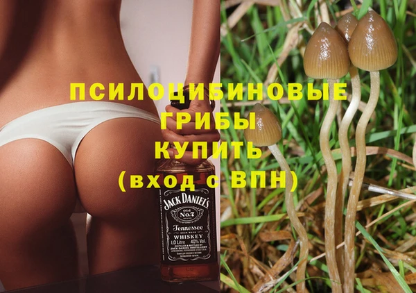 прущие крисы Новозыбков