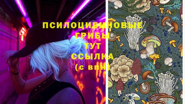 ешки Новокубанск