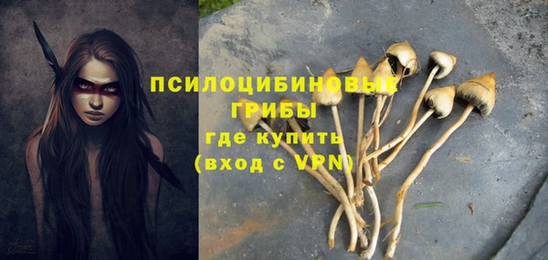 ешки Новокубанск