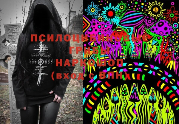 прущие крисы Новозыбков