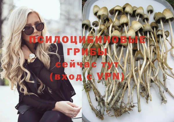 2c-b Нефтекумск