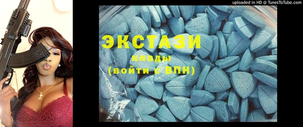 шишки Теберда