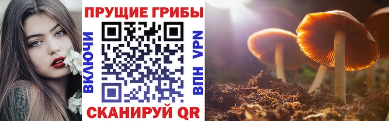 Псилоцибиновые грибы прущие грибы  Нюрба 